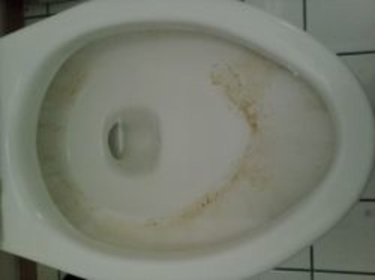 How to Remove That Hardwater Line Ring in Your Toilet