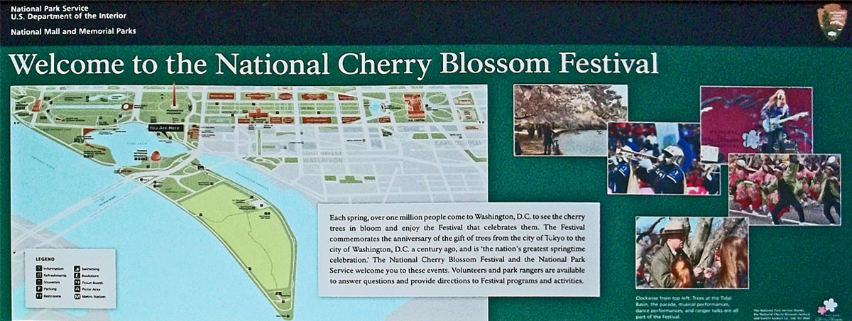 Cherry Blossom Festival sign 2013.