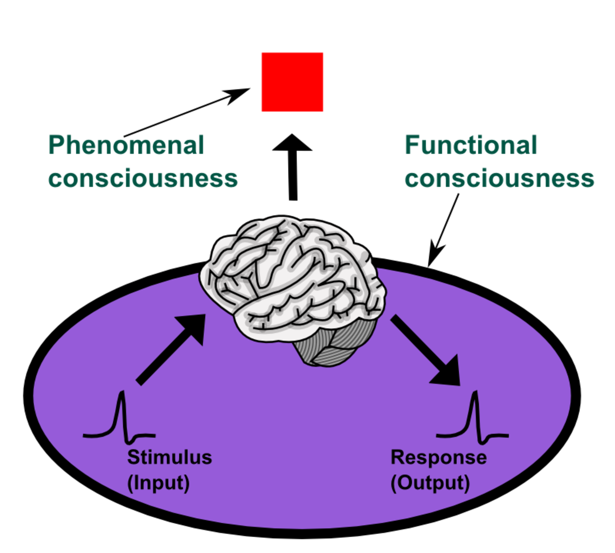 Functional consciousness ( Intelligence) versus  phenomenal consciousness (Qualia)