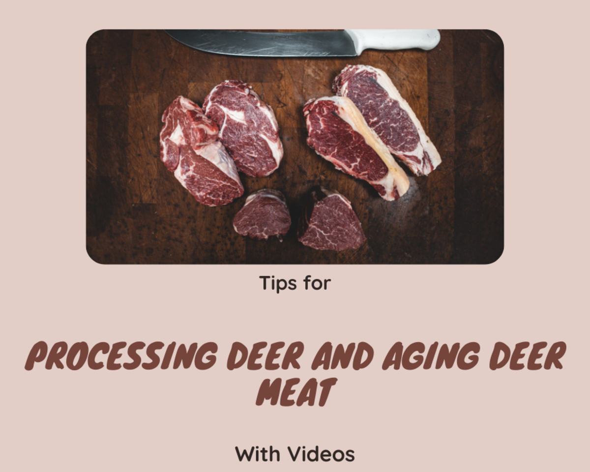 Read on to learn tips for processing deer and aging deer meat. 