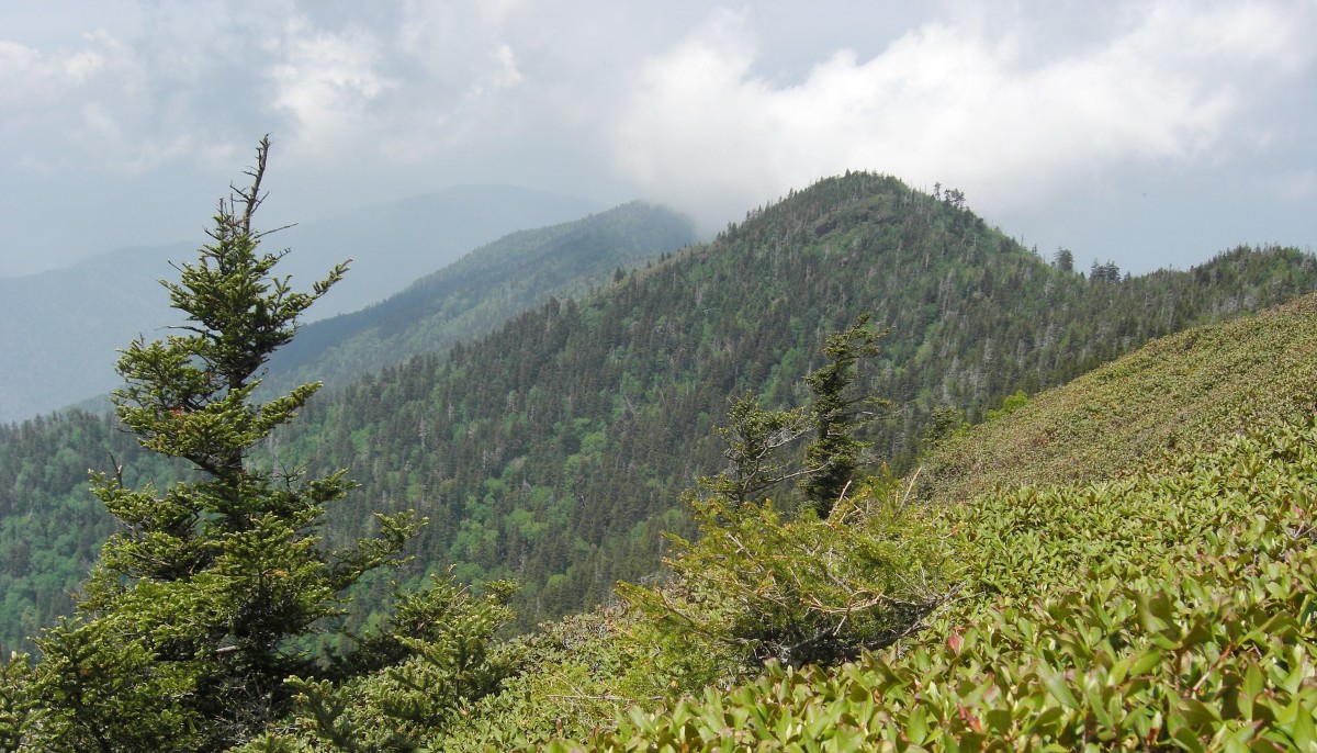 Mt. LeConte in Tennessee.