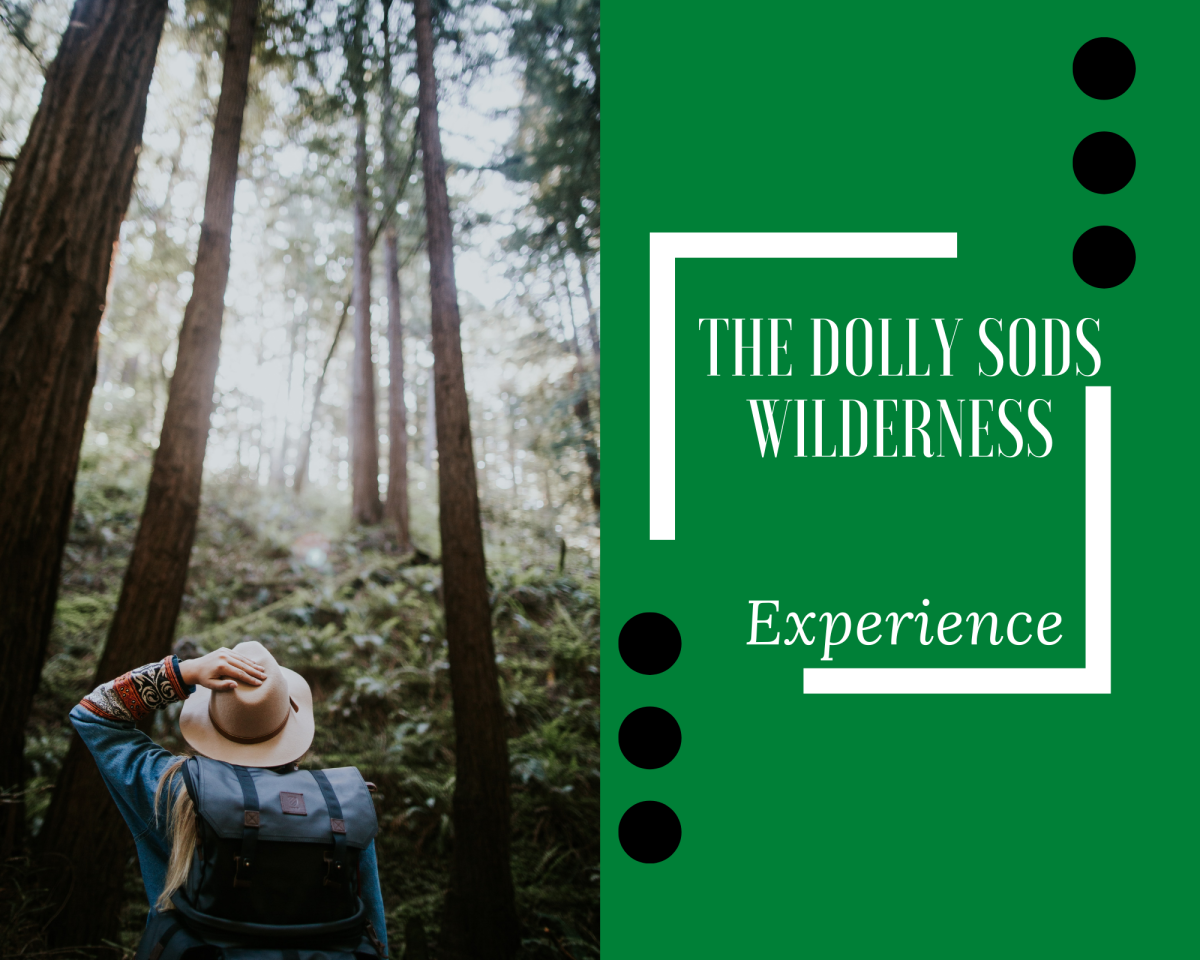 The Dolly Sods Wilderness Experience