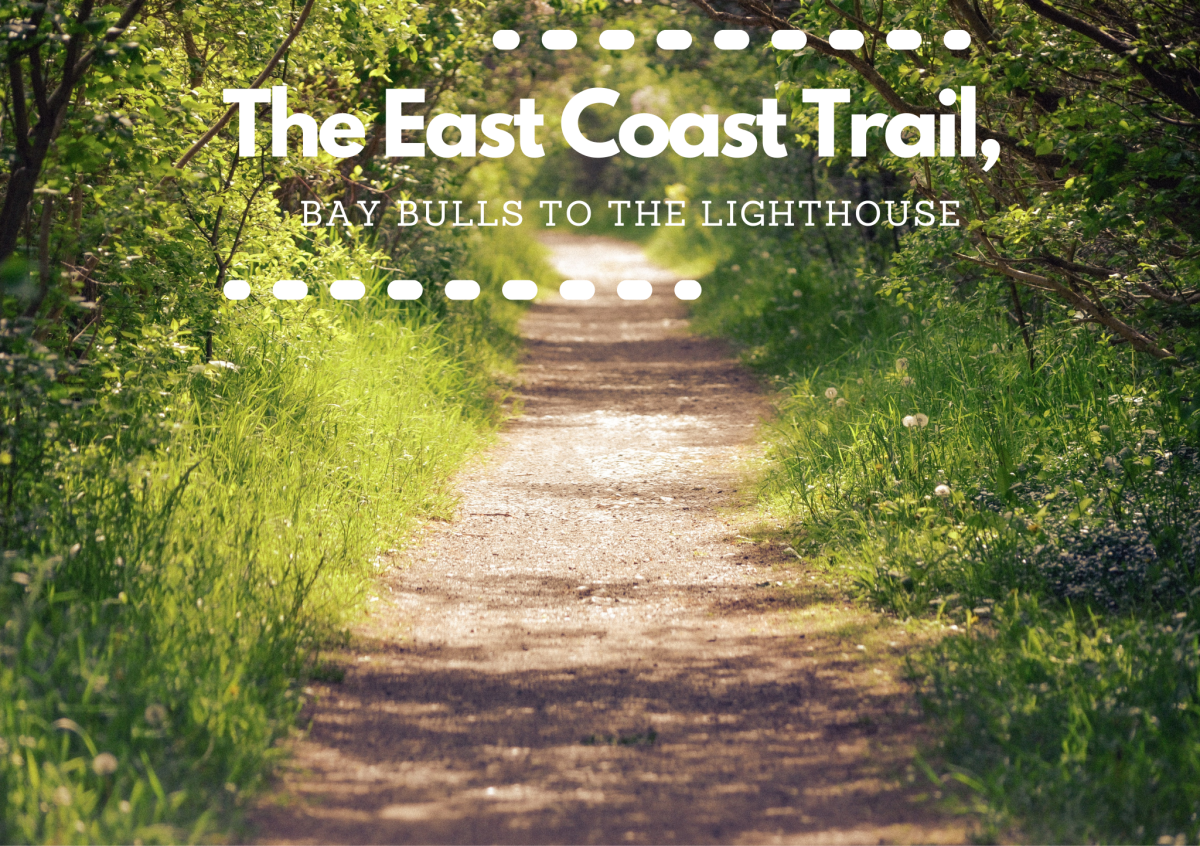 Learn all about the East Coast Trail. 