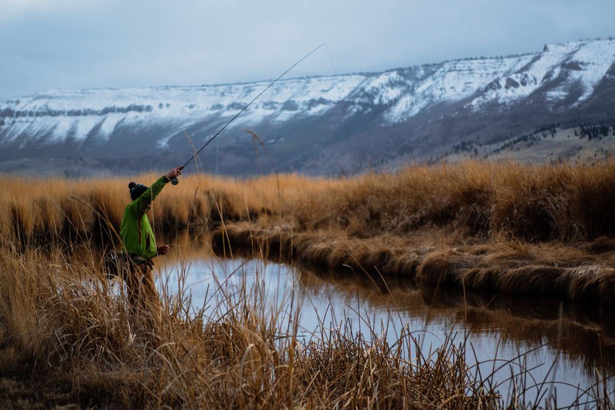 Catching Ghost Shrimp For Fishing Bait - Skyaboveus