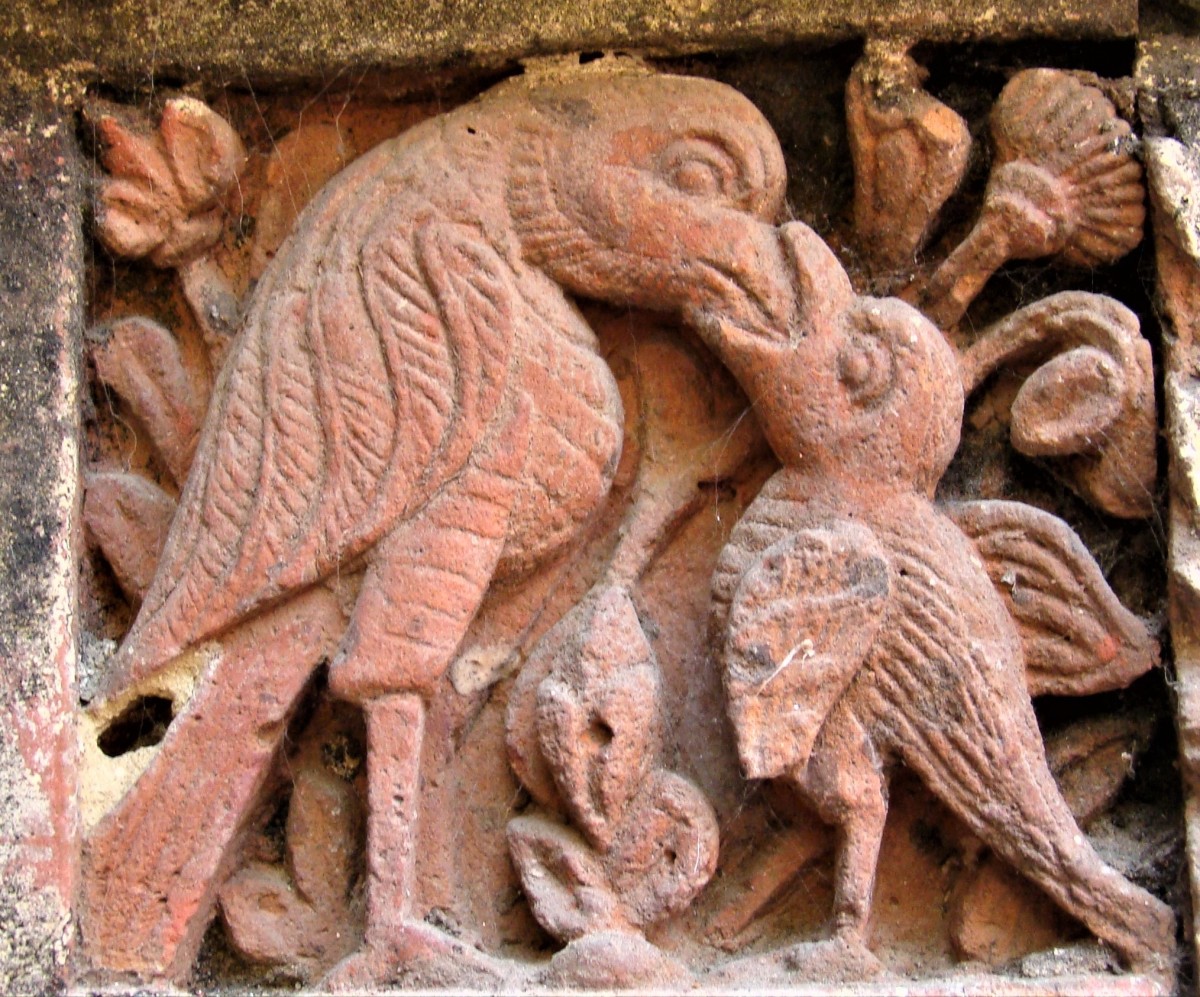 A bird feeding its chick; terracotta; Gopinath temple, Dasghara, Hooghly