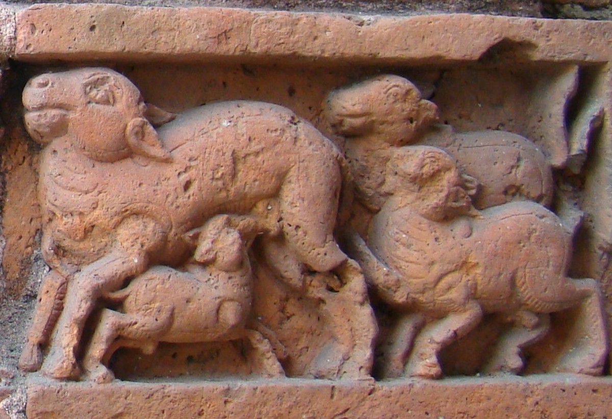 Cow and calf; terracotta; Ananta Basudeva temple; Bansberia, Hooghly