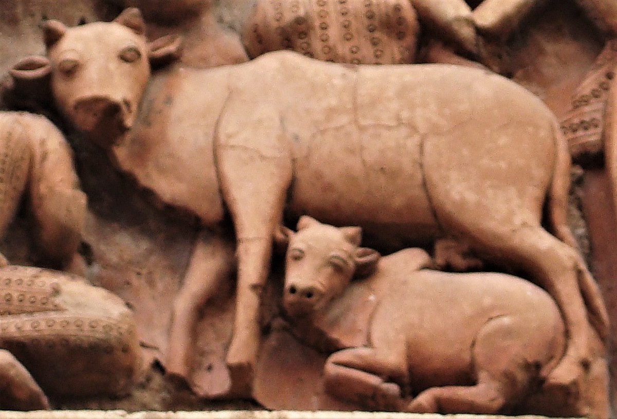 Cow and calf; terracotta; Sridhar temple; Sonamukhi, Bankura
