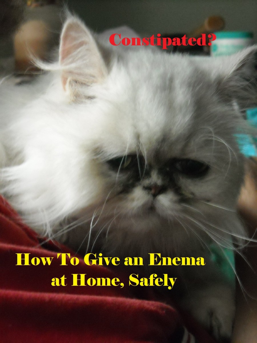 It is not simple buy you can give your cat an enema at home safely, for both of you.