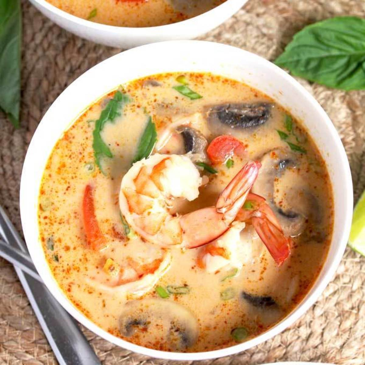 thai-coconut-and-chicken-soup-recipes