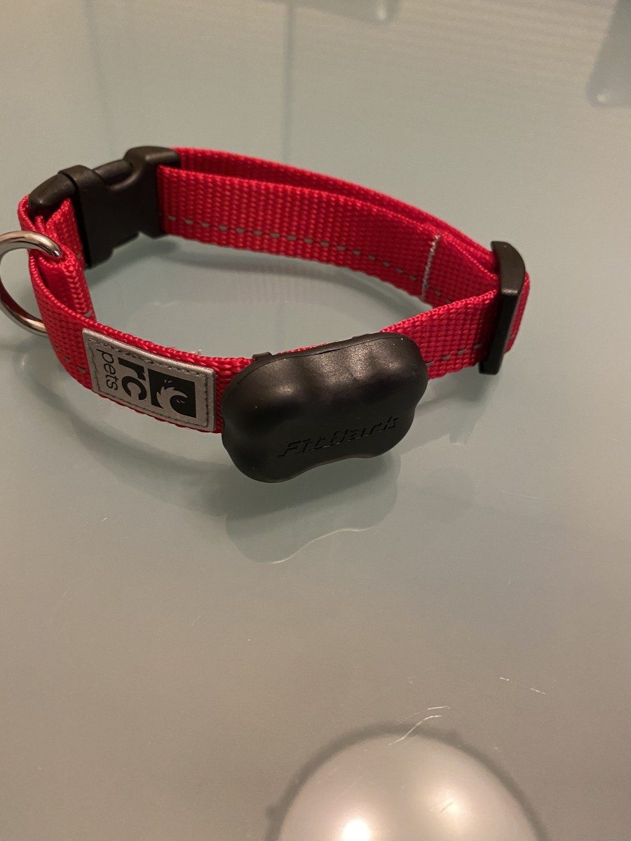 FitBark 2 cover reapplied now that the device is securely strapped into place on the collar. Before you put it on your dog, you need to make sure you charge up the device and create your dog's profile. 