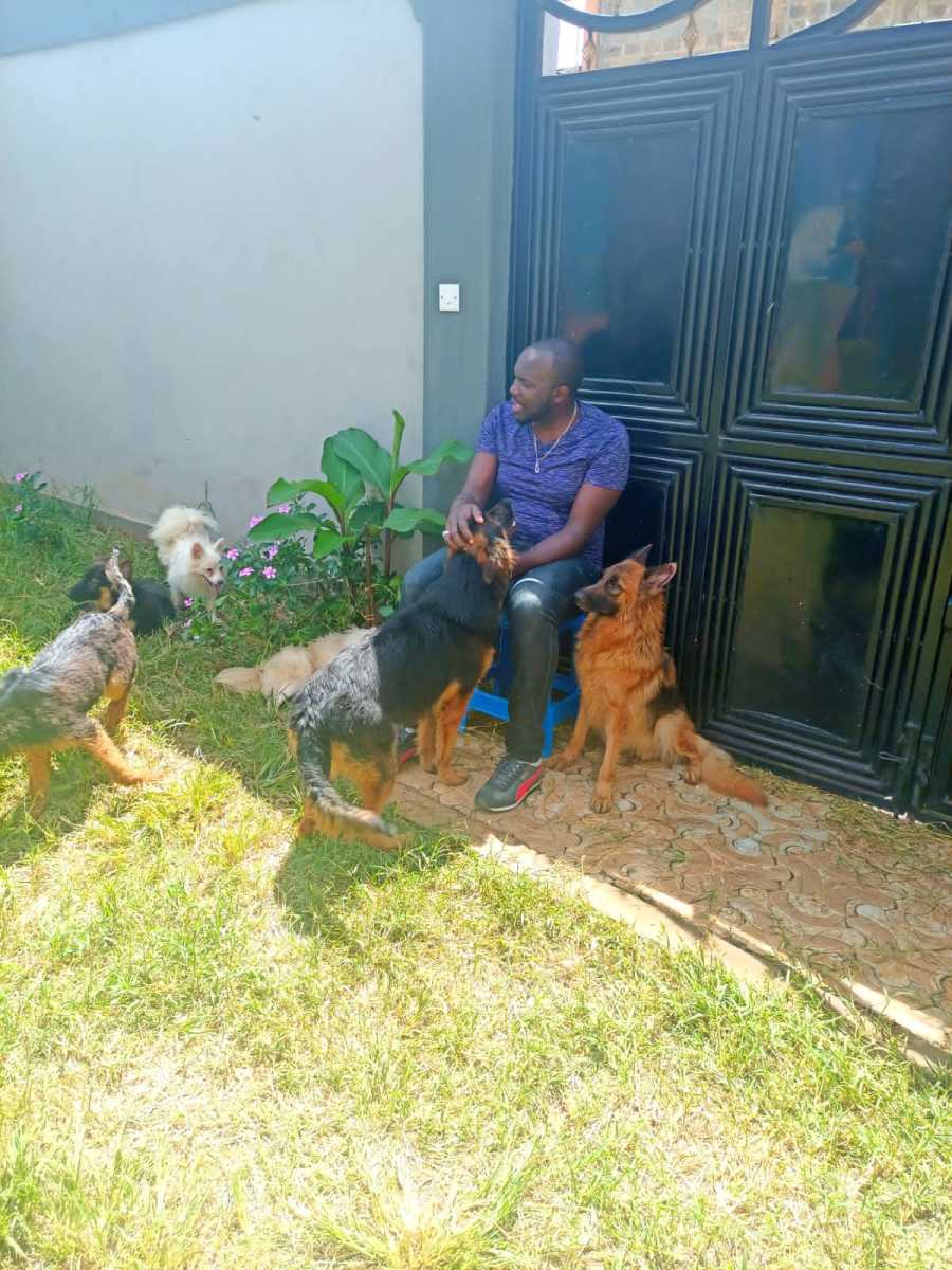 Timothy with some of his dogs