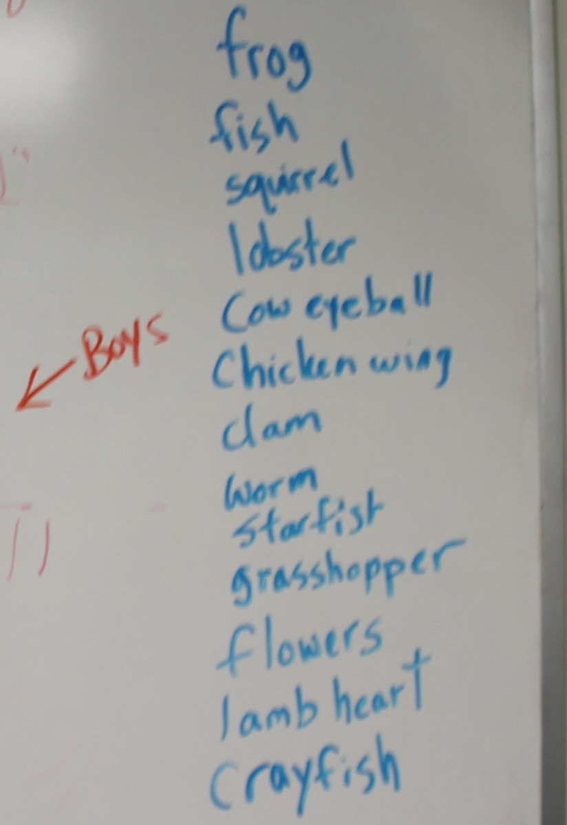 List of items we dissected this year
