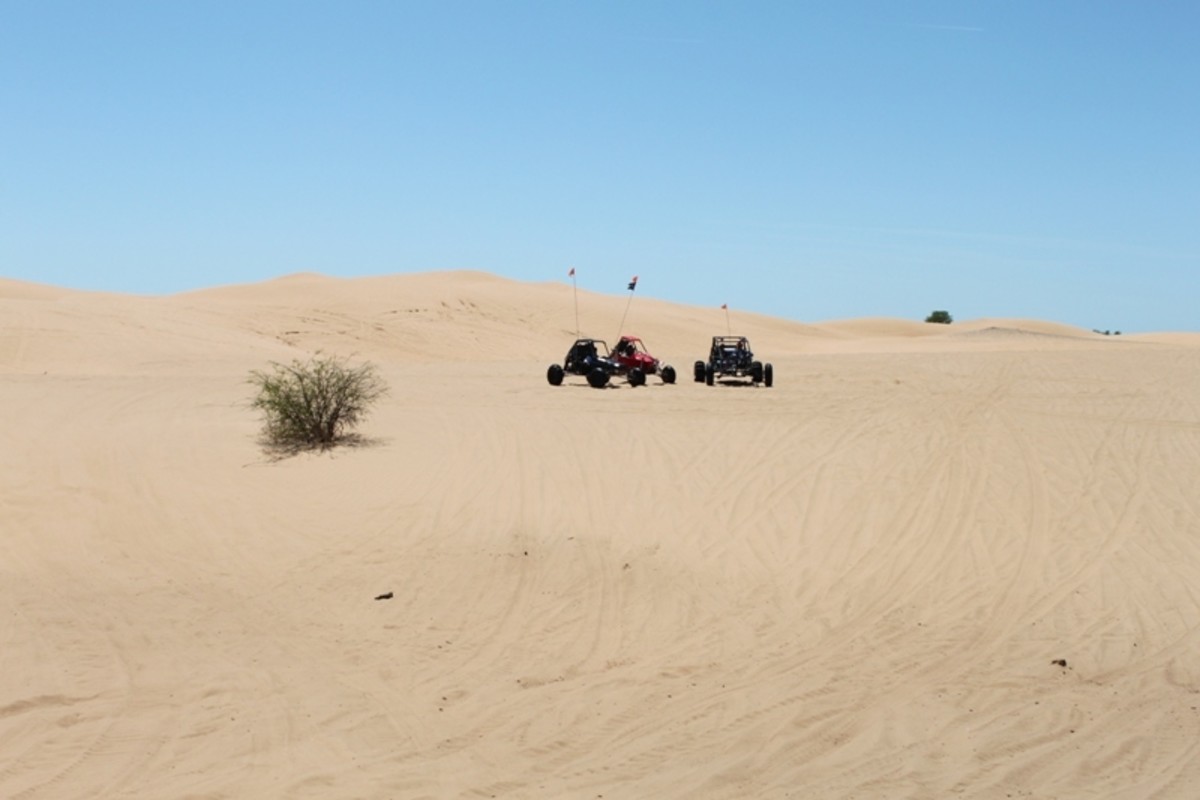 Ride on dune buggies in Oklahoma's Litte Sahara State Park!