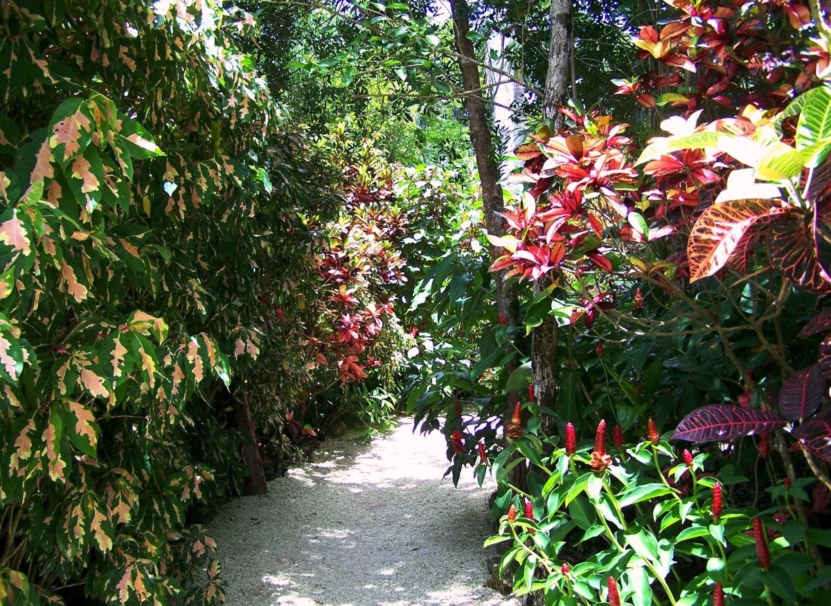 Queen Elizabeth Botanical Gardens