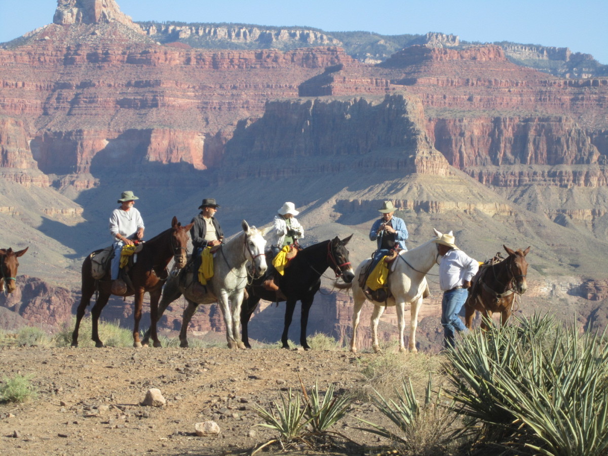 Grand Canyon National Park Photos - HubPages