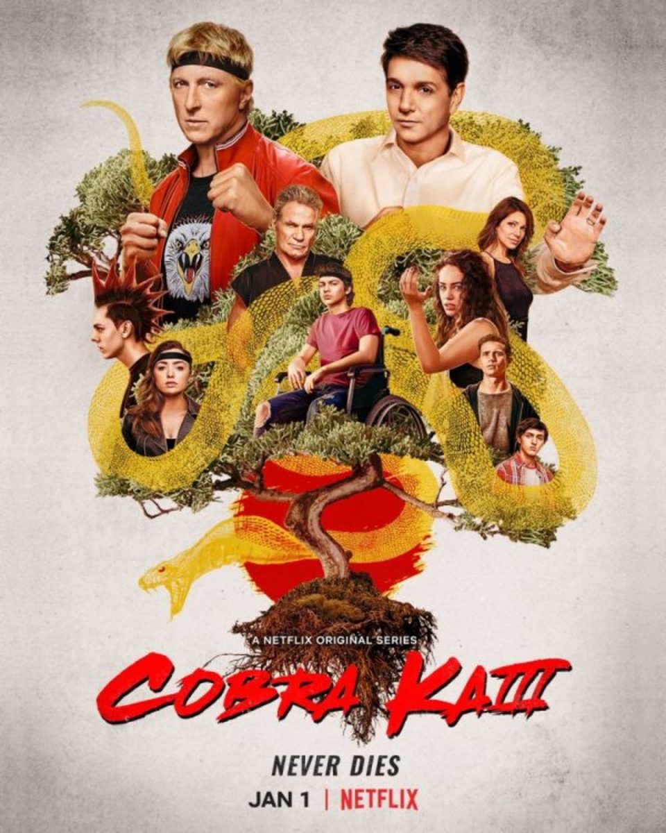 The Hidden Review: Cobra Kai Season 3 TV Series Review