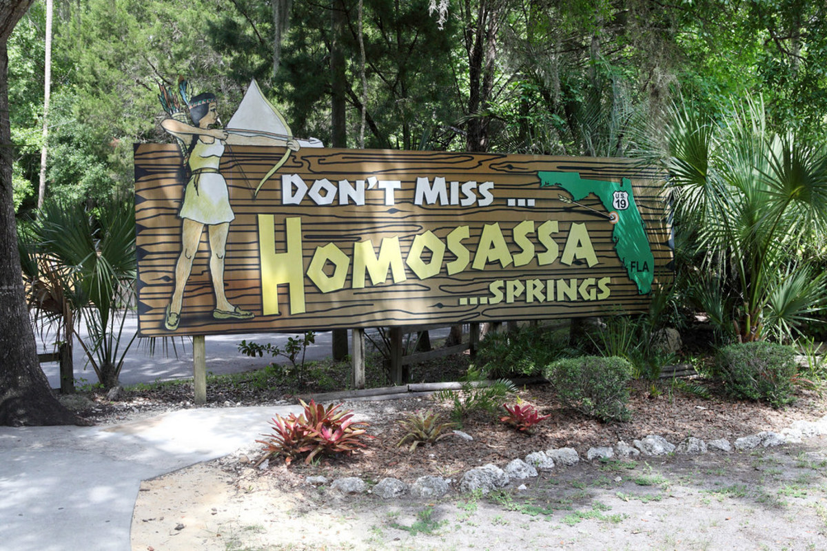Homosassa Springs: Florida Manatee and Wildlife Adventure