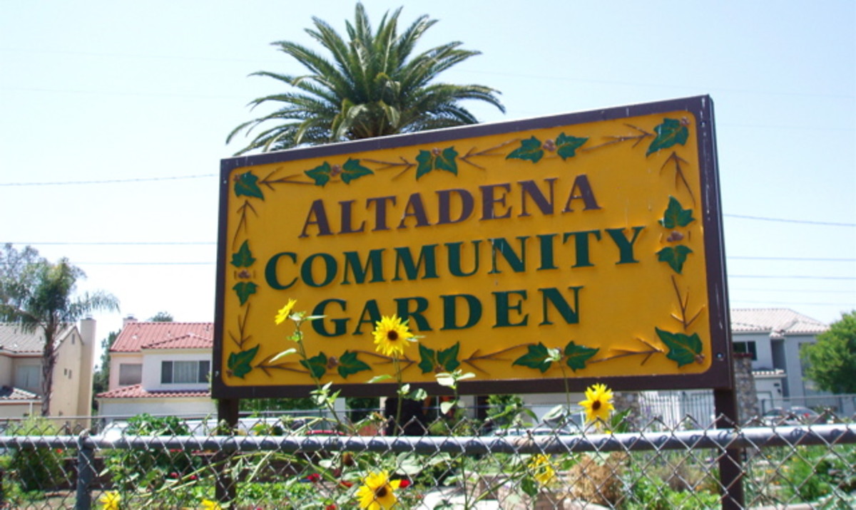 Community gardens help provide healthy food for city areas and build a sense of community.