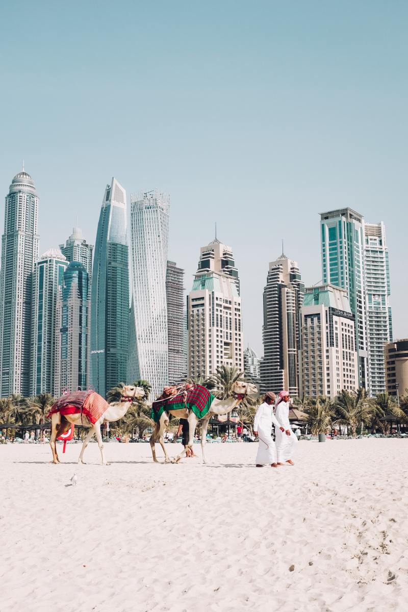 Why You Should Visit Dubai