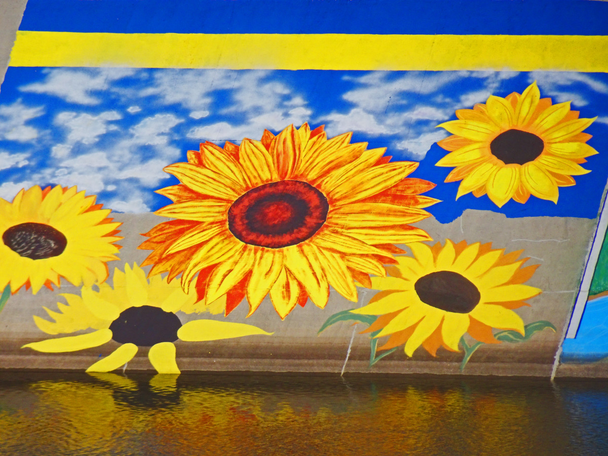 This sunflower mural adds a touch of summer to the Pueblo Levee Mural Project.