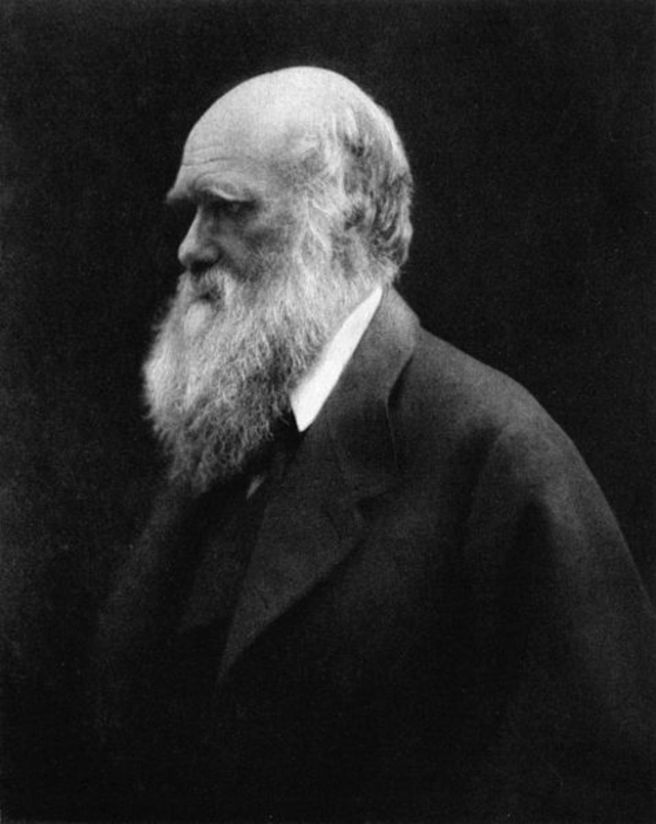 Charles Darwin in 1868. Incidentally, he grew his famous beard over a four year period starting in 1862, and would keep it for the rest of his life.