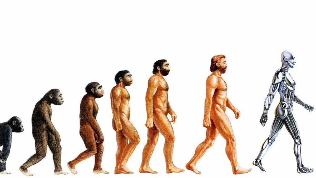 What Is a Parallel Evolution