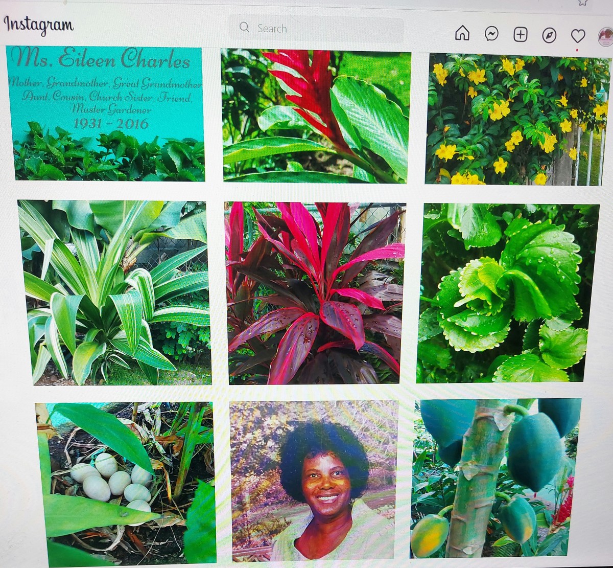 My Instagram page, a  pictorial tribute to my mother, the master gardener