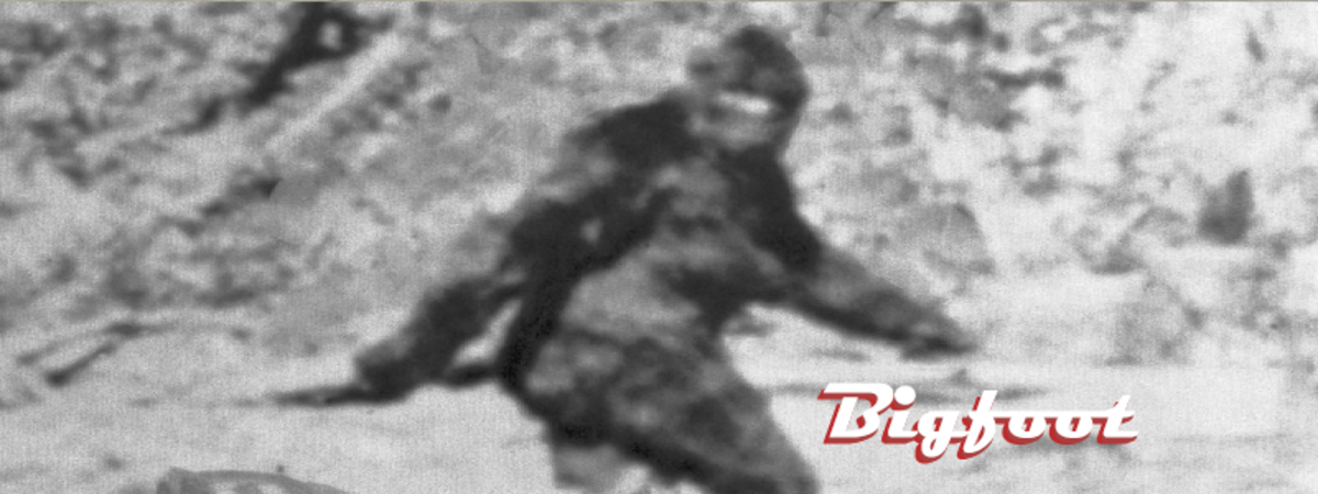 Over the years, Bigfoot has found its way into every state.