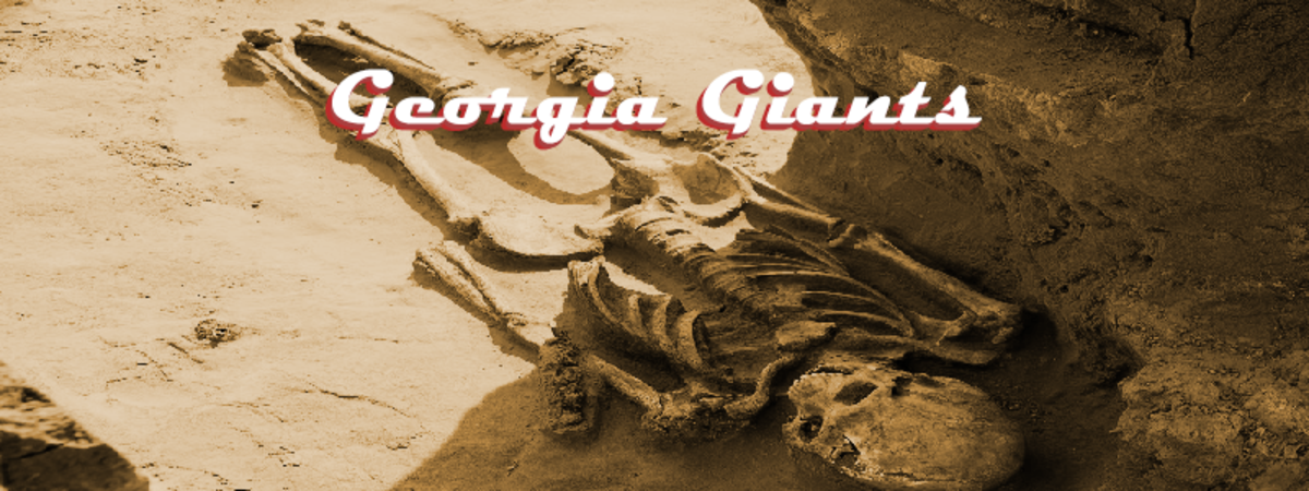 The remains of a Georgia Giant found inside a mound of dirt.