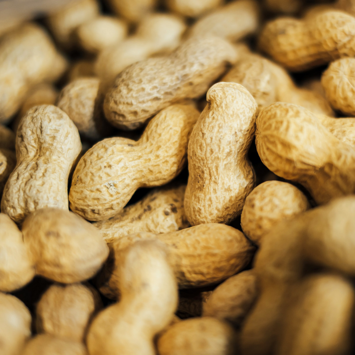 Peanuts are one of my favorite snacks.