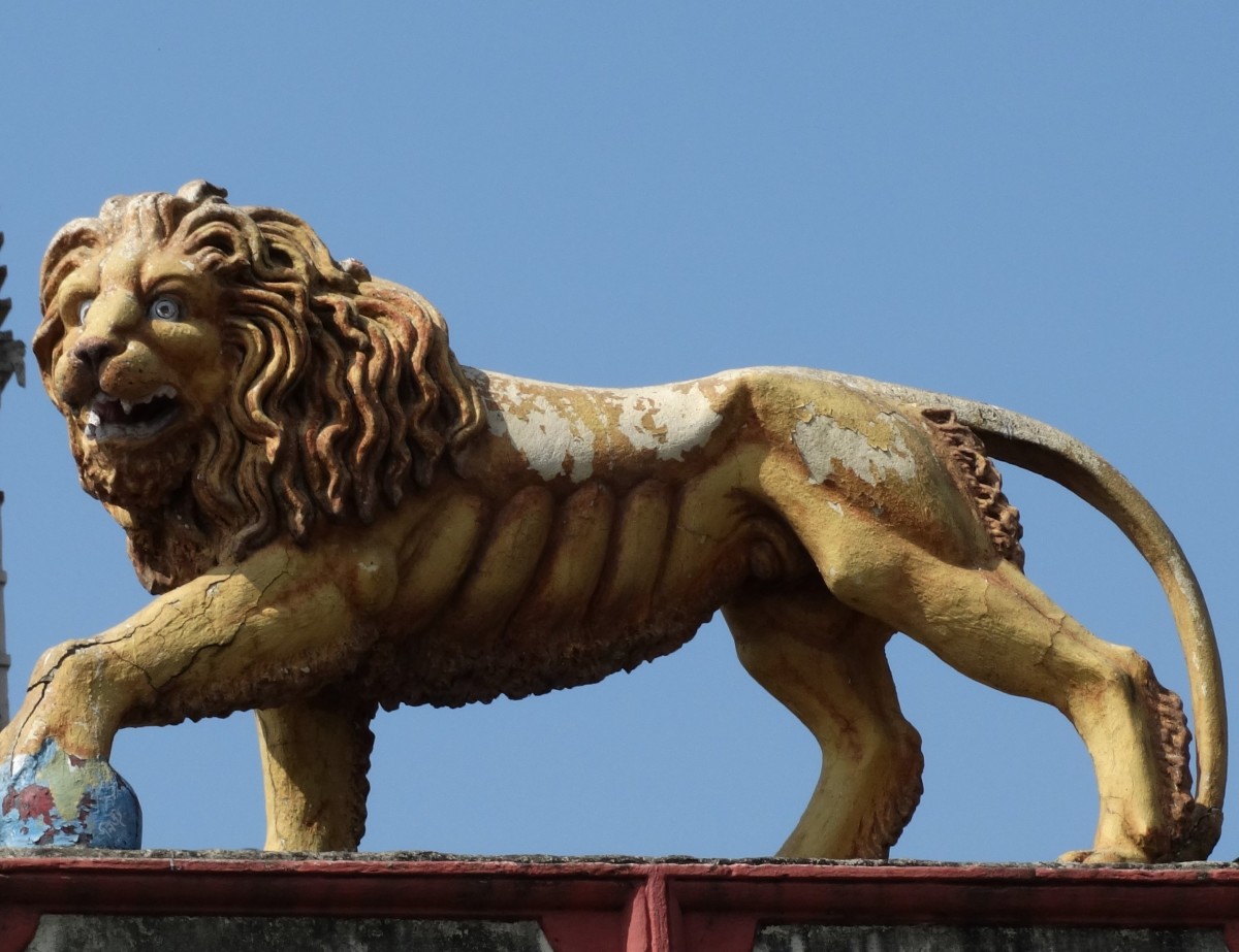 A lion, apparently an African one, from Annapurna temple; Barrackpore, West Bengal