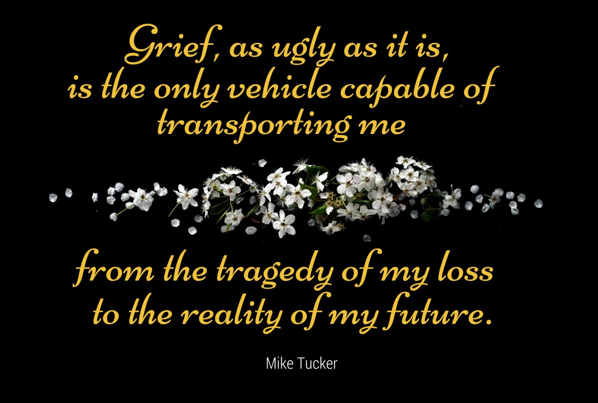 Grief is the transport from the tragedy of the loss to the reality of the future.