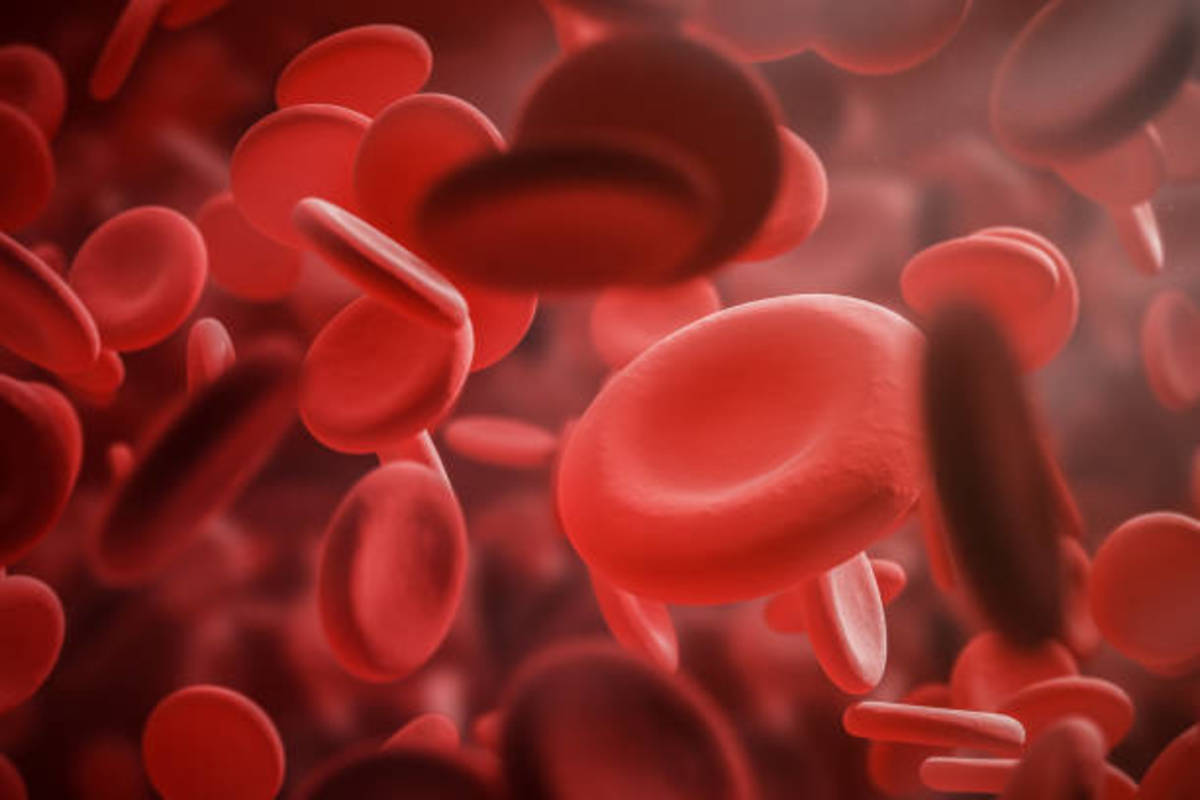 Aplastic Anaemia: A Rare and Serious Blood Disorder Targeting Youths?