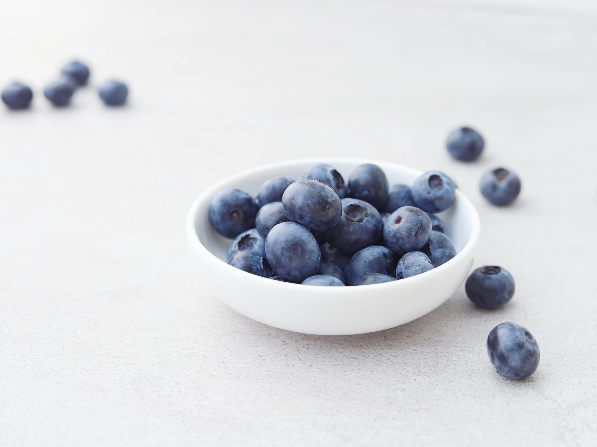In moderation, blueberries can be a great supplement to an active dog's diet. 