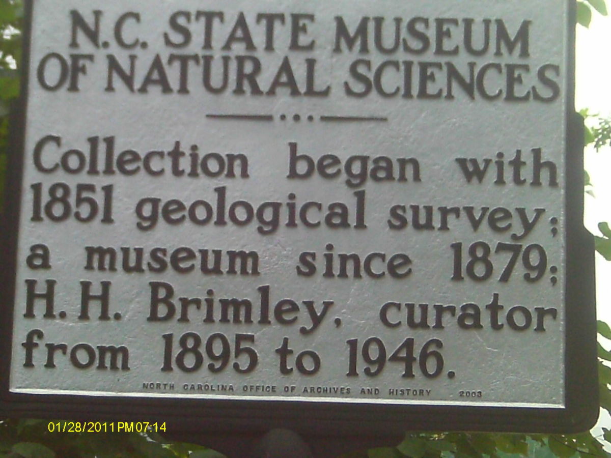 Museum sign outside of the building