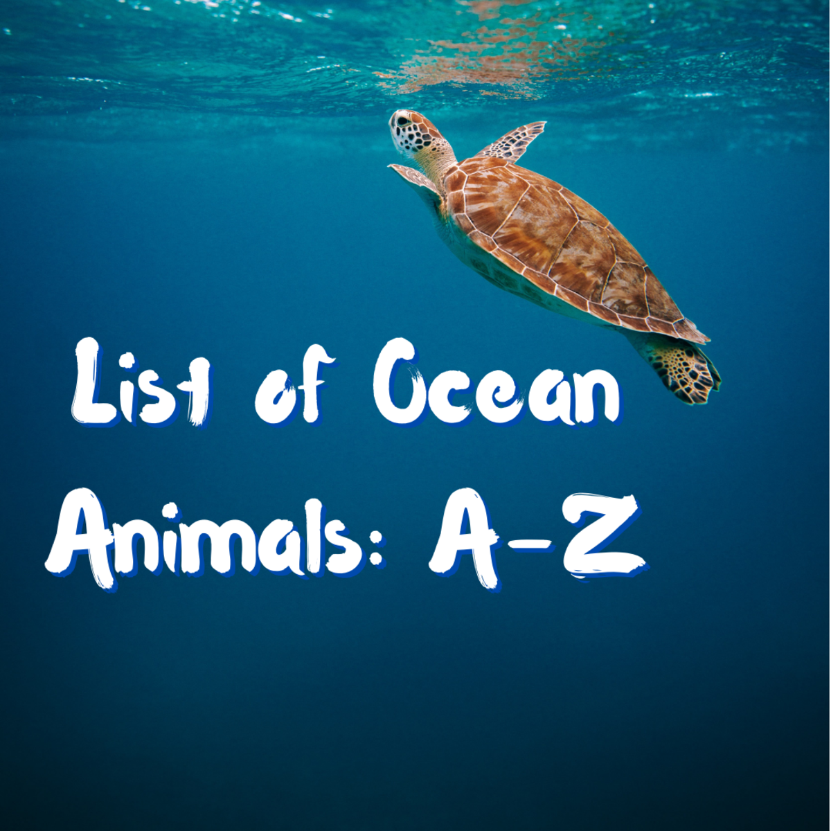 This ocean animals list provides a plethora of cool info on marine life with accompanying links. A sea turtle is pictured above. This article covers three types: Flatback, Hawksbill, and Loggerhead. Read on to discover them and many more marvels!