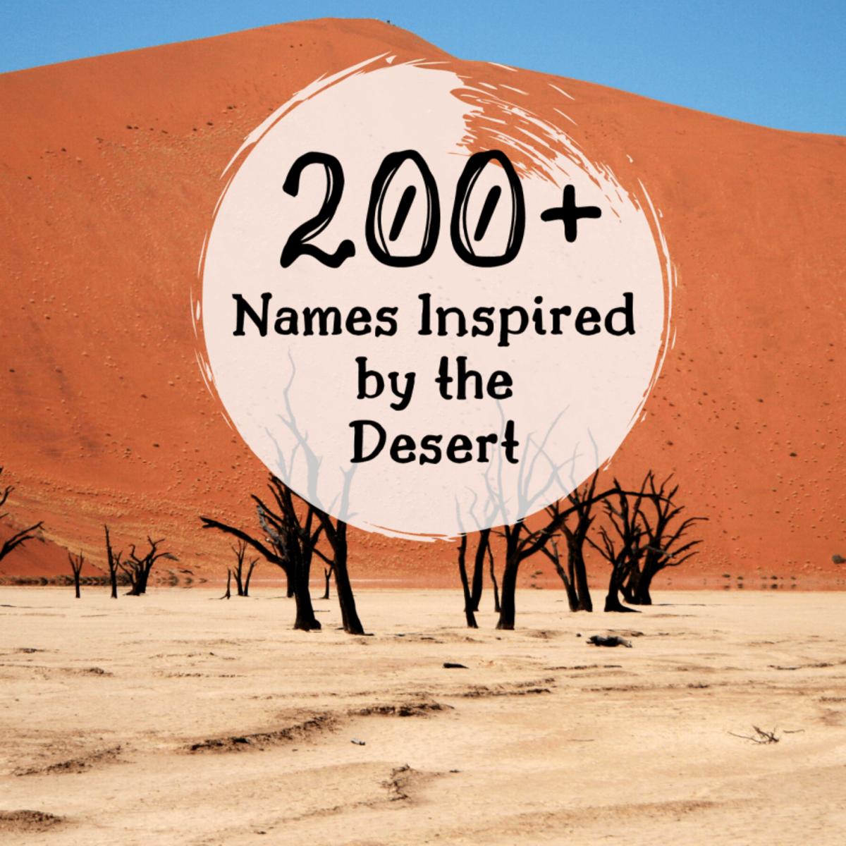 A list of names inspired by the deserts of the world.
