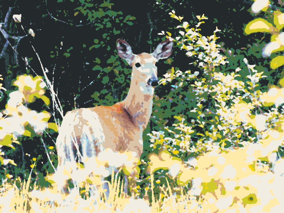 Digital deer painting.