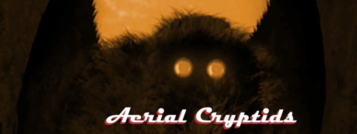 Aerial cryptids are creatures that are capable of flying.