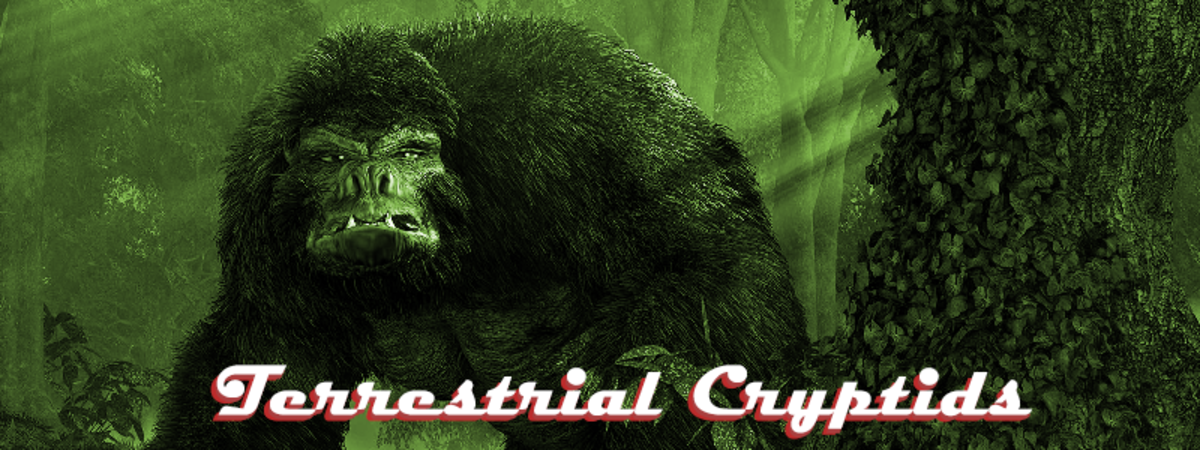 Terrestrial cryptids are creatures that move around on land.