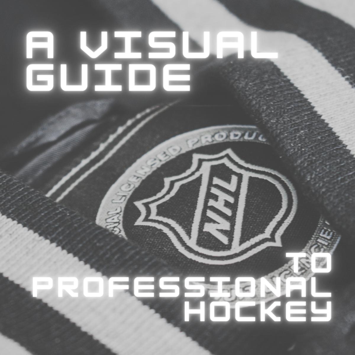 Basic Rules of NHL Hockey: A Visual Guide - HowTheyPlay