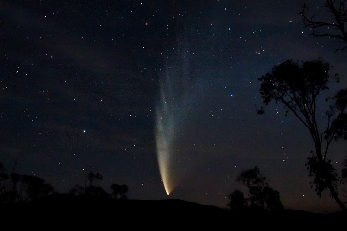 Picture of comet McNaught as seen from Swift's Creek, Victoria, in late January 2007.
