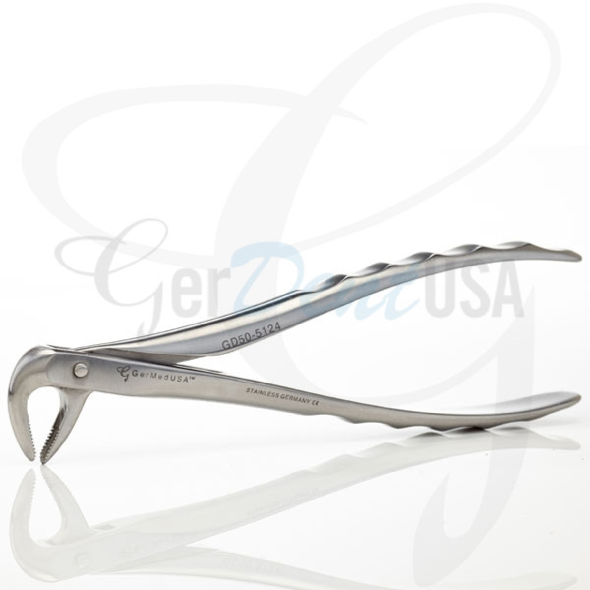 Things You Should Know About Dental Forceps