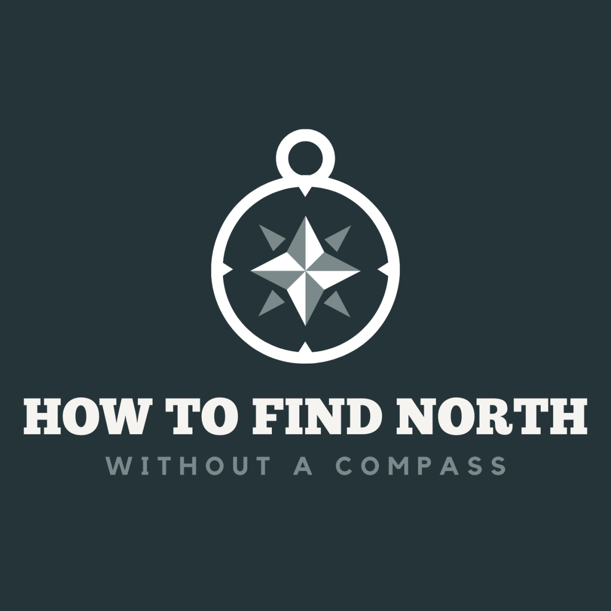 Where Is North? 5 Ways to Find North (Or South) Without a Compass
