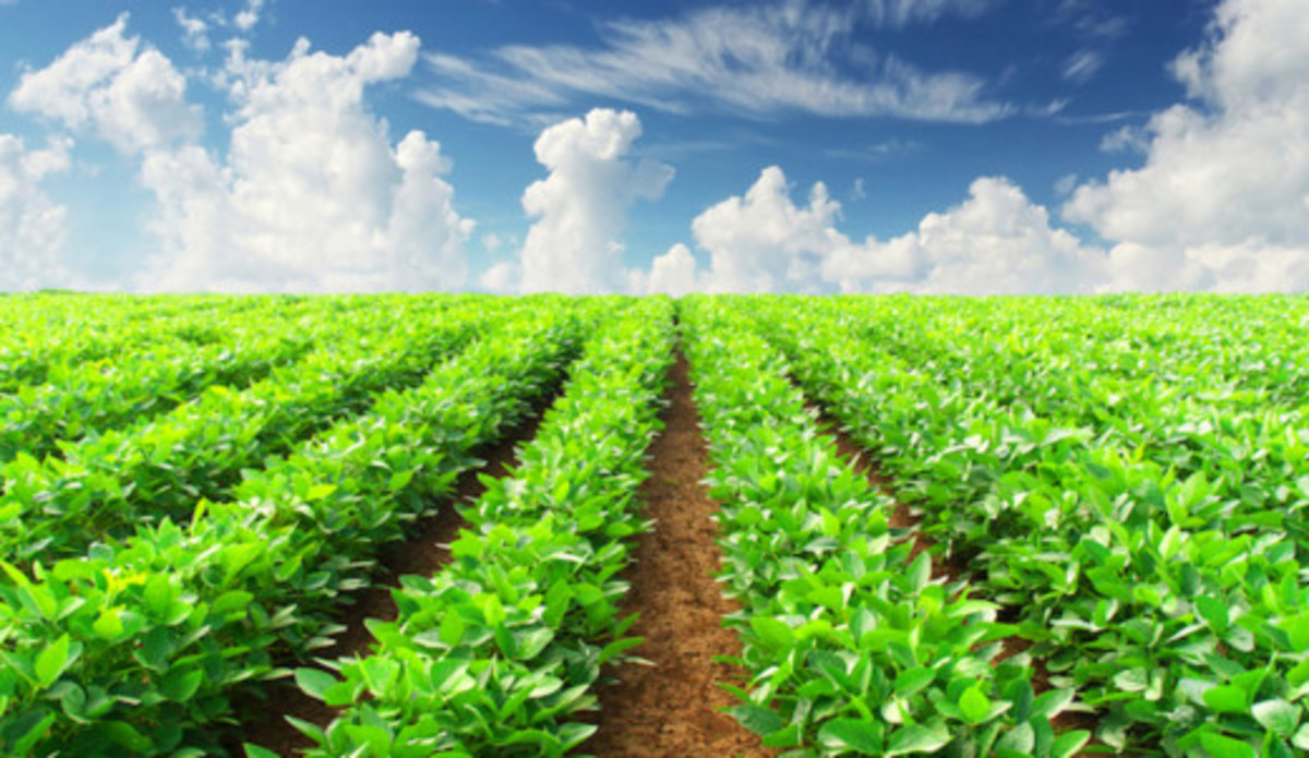 7 Myths in Agribusiness Management You Didn't Know