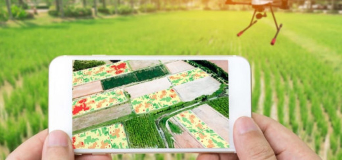 Digital Farming Agriculture