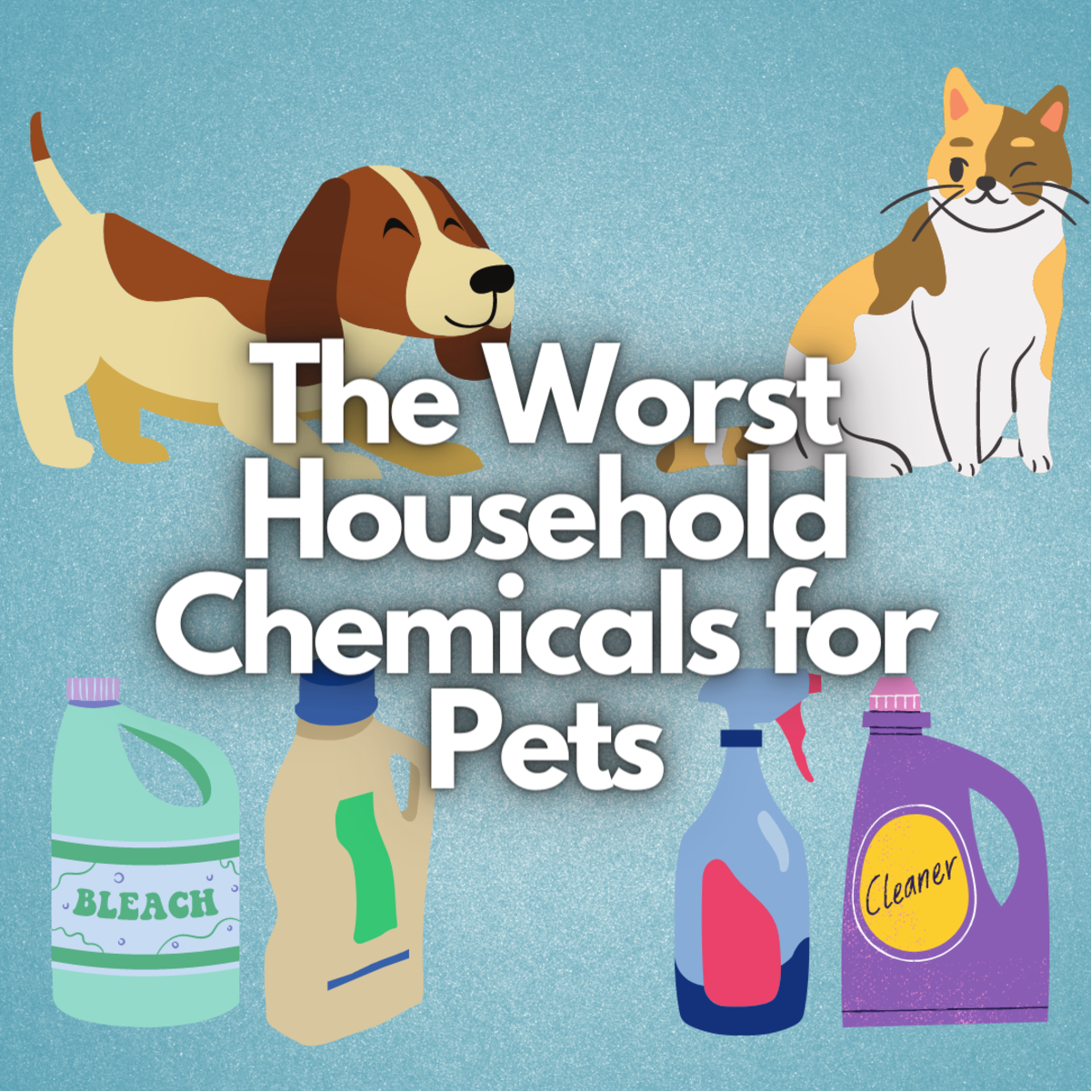 Read on to learn about some of the worst household chemicals for pets. This article will help you better pet-proof your home and ensure safety for your little friends.