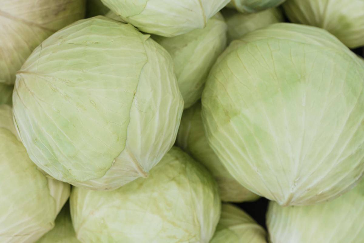 healthy-cabbage-cooking-recipe-for-health-safety-and-weight-loss