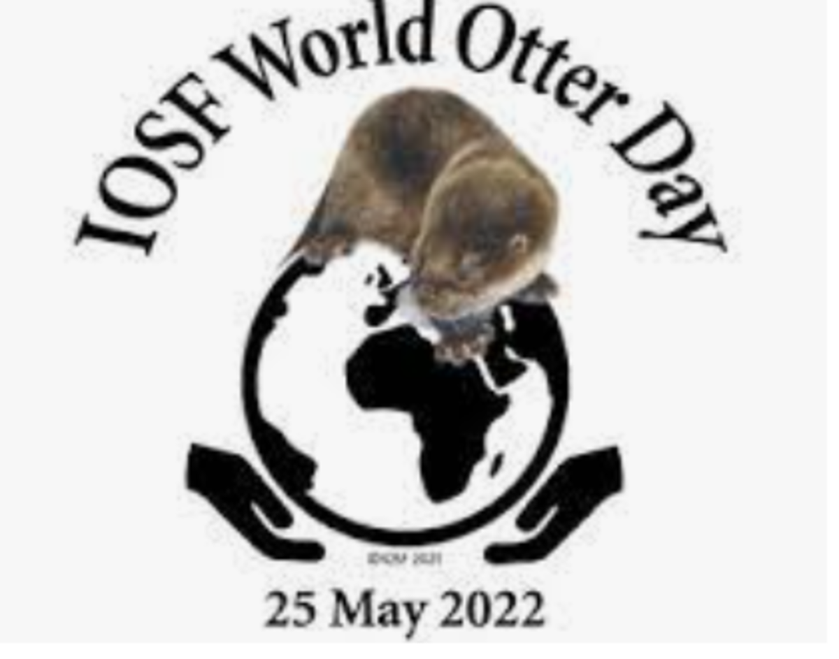 world-otter-day