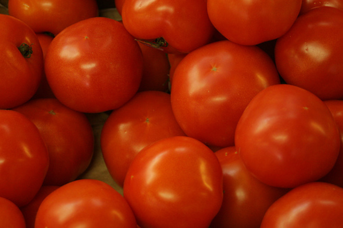 Tomatoes Health Benefits and Benefits of Eating Tomato During Pregnancy